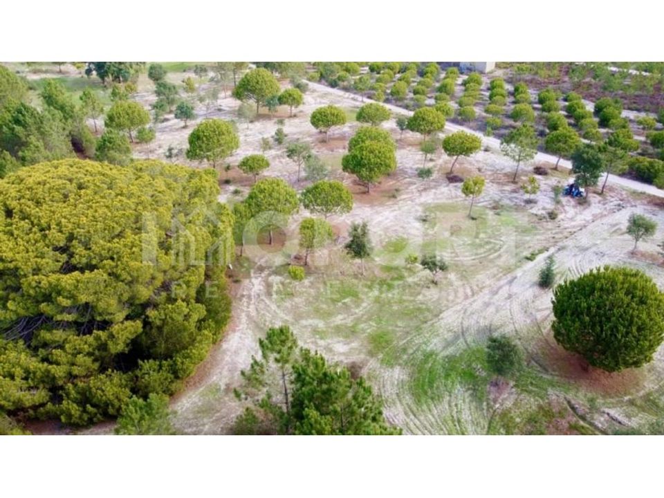 Terreno en Santo Andre, Setubal - foto 3