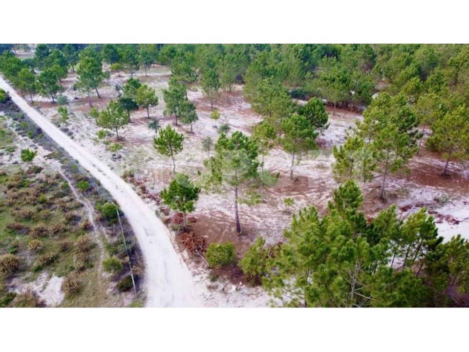 Terreno en Santo Andre, Setubal - foto 4