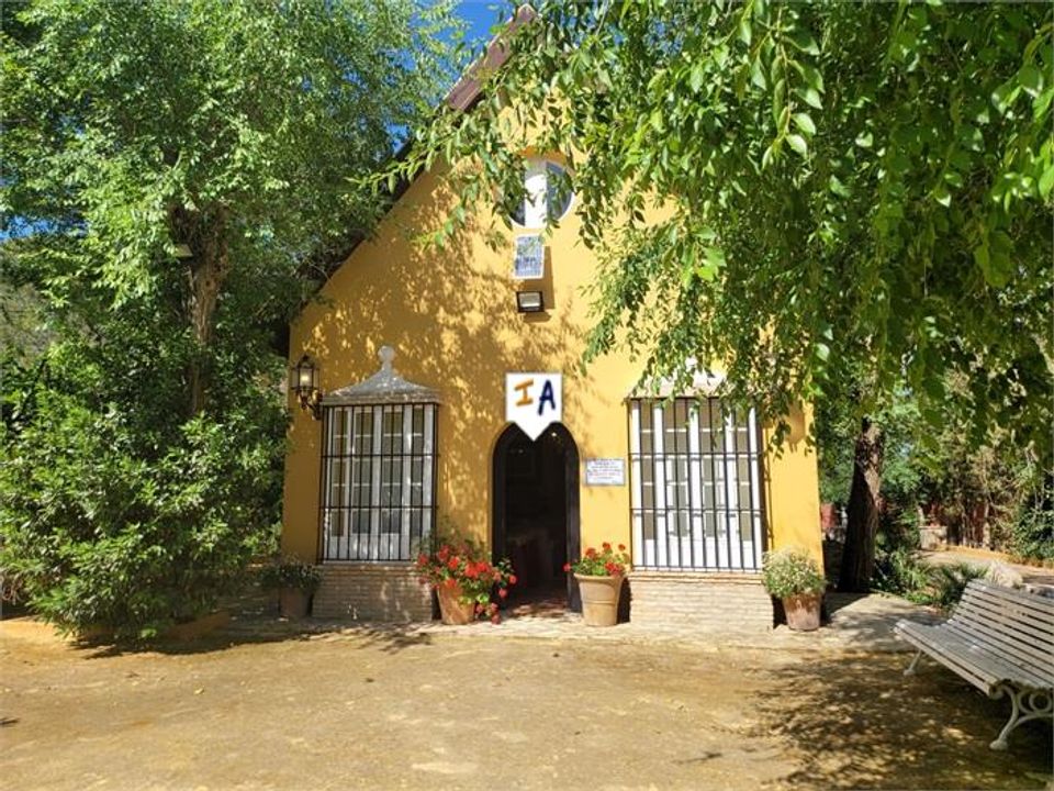 Cortijo - Moron De La Frontera, Sevilla - photo 5