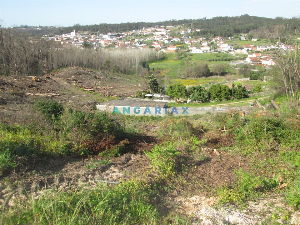 Helårsgrund i Leiria, Leiria - foto 3