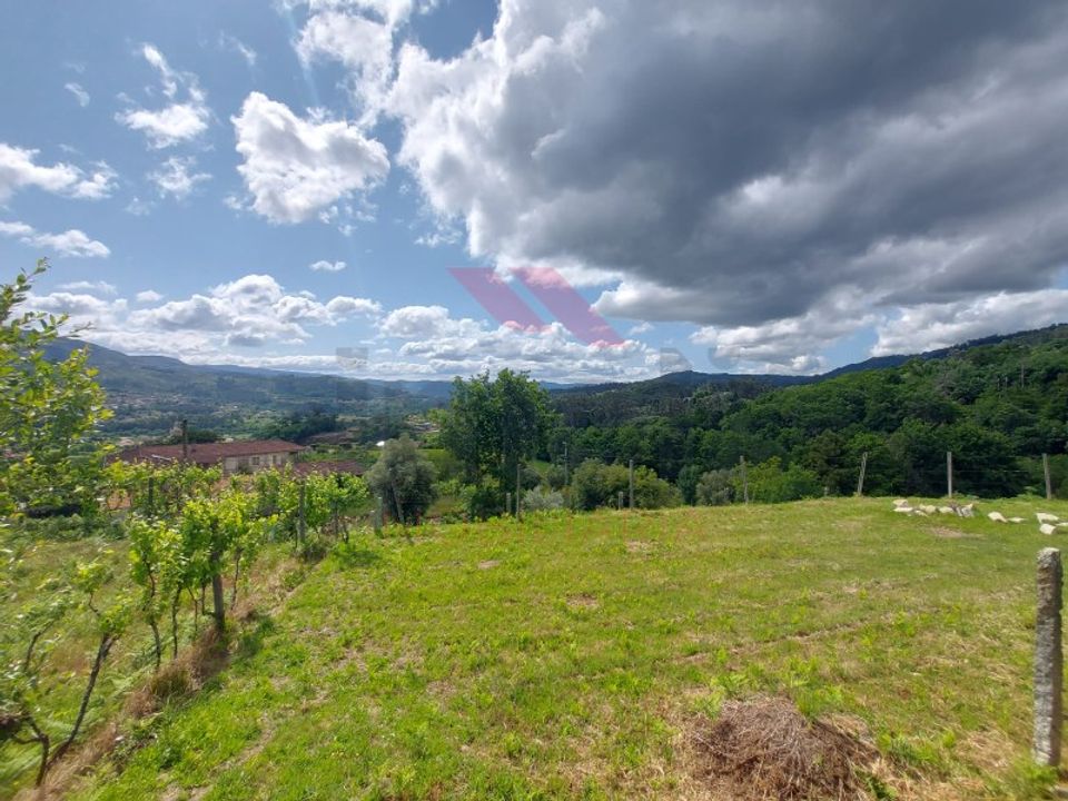Terra a Aboim das Chocas, Viana do Castelo - foto 3
