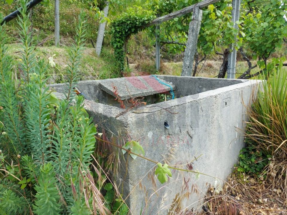 Terra a Aboim das Chocas, Viana do Castelo - foto 4