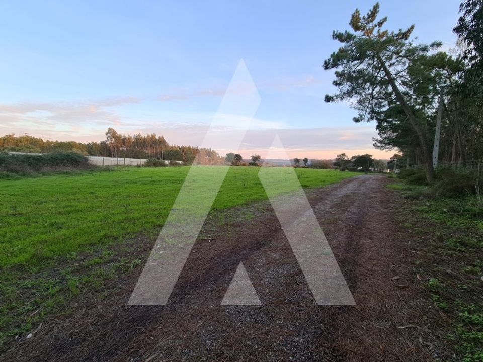 Farm i Souto da Carpalhosa e Ortigosa, Leiria - foto 3