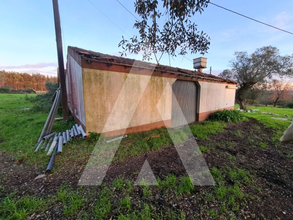 Farm i Souto da Carpalhosa e Ortigosa, Leiria - foto 4