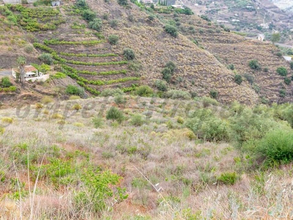 Helårsgrund i Torrox, Malaga - foto 5