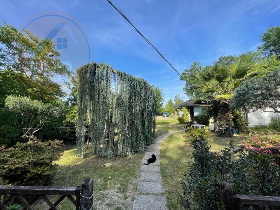 Farm i Cabeceiras de Basto, Braga - foto 4