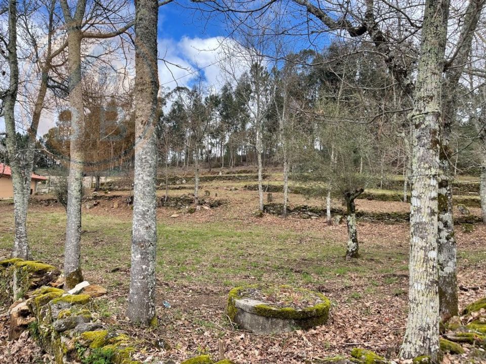 Tomt i Cabeceiras de Basto, Braga - bilde 3