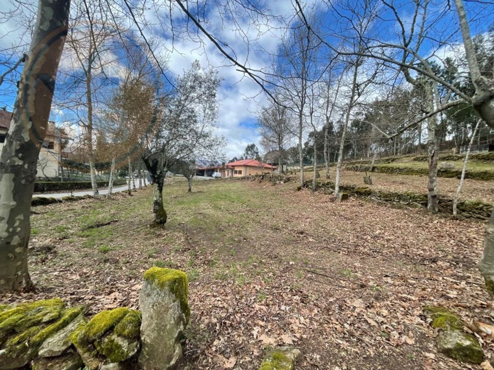 Tomt i Cabeceiras de Basto, Braga - bilde 5