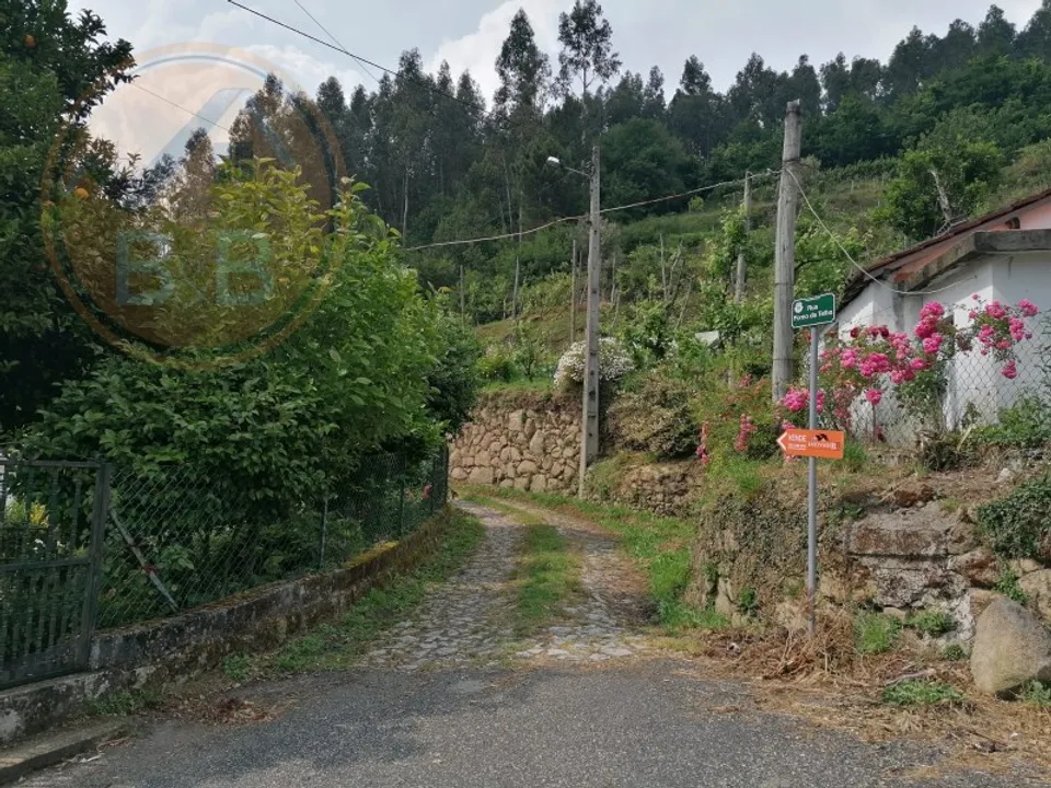 Grundstück in Ribeira de Pena, Vila Real - Foto 1