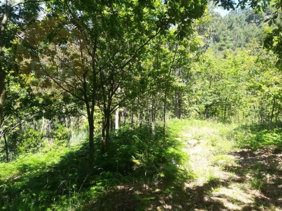 Grundstück in Ribeira de Pena, Vila Real - Foto 3