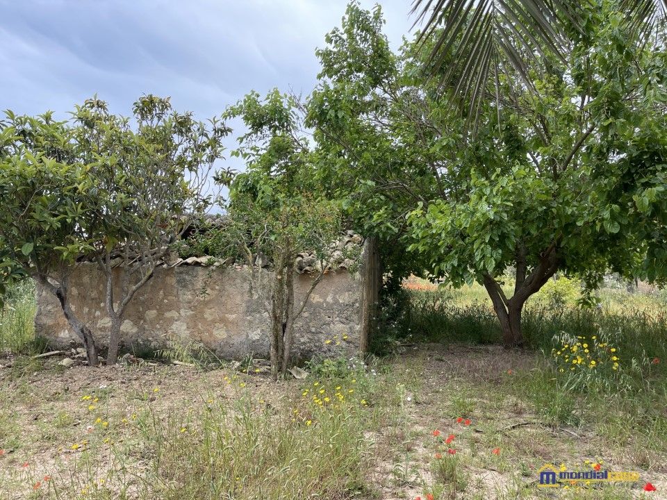 Helårsgrund i Pachino, Siracusa - foto 4