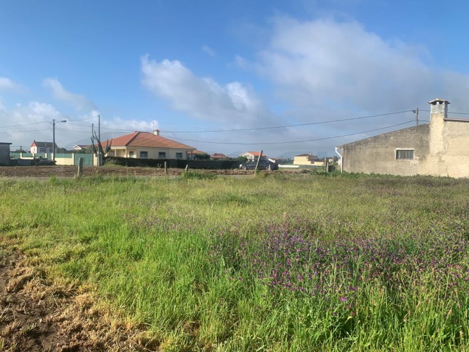 Helårsgrund i Beduido e Veiros, Aveiro - foto 3