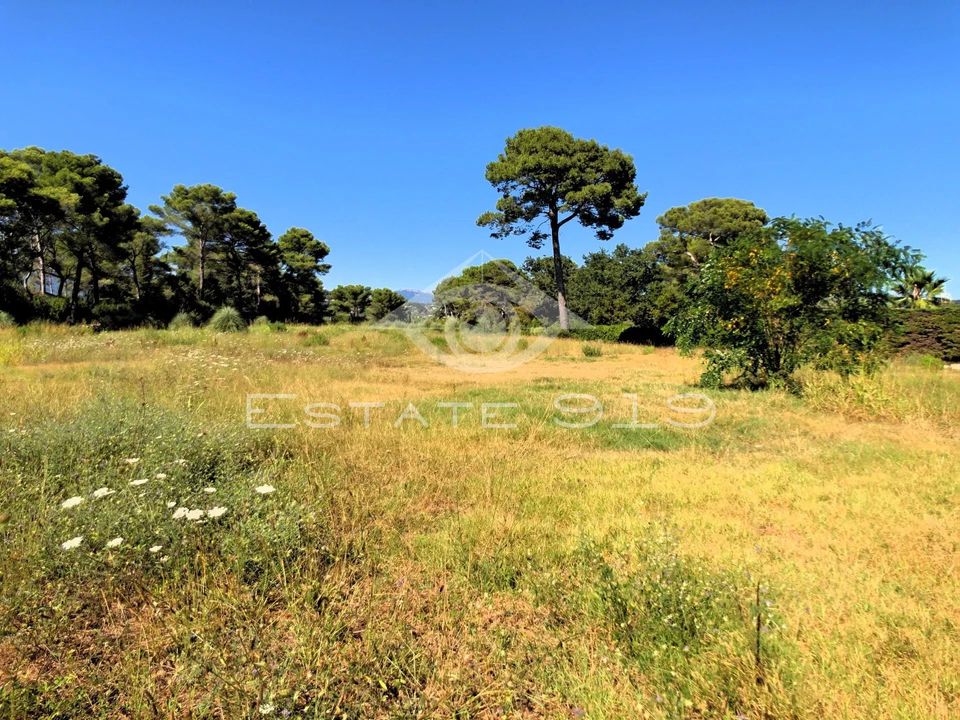 Terra a Le Cannet, Alpes-Maritimes - foto 2