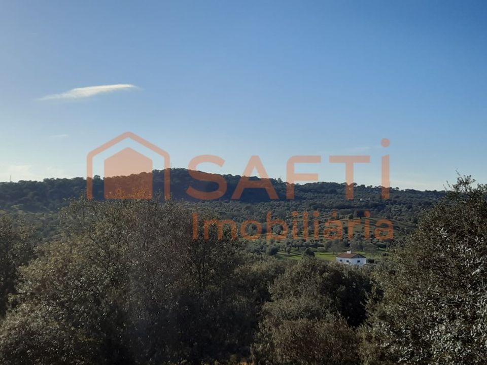 Farm i Portalegre, Portalegre - foto 5