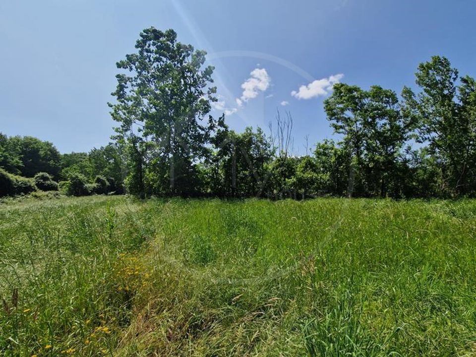 Farm i Guimaraes, Braga - foto 5