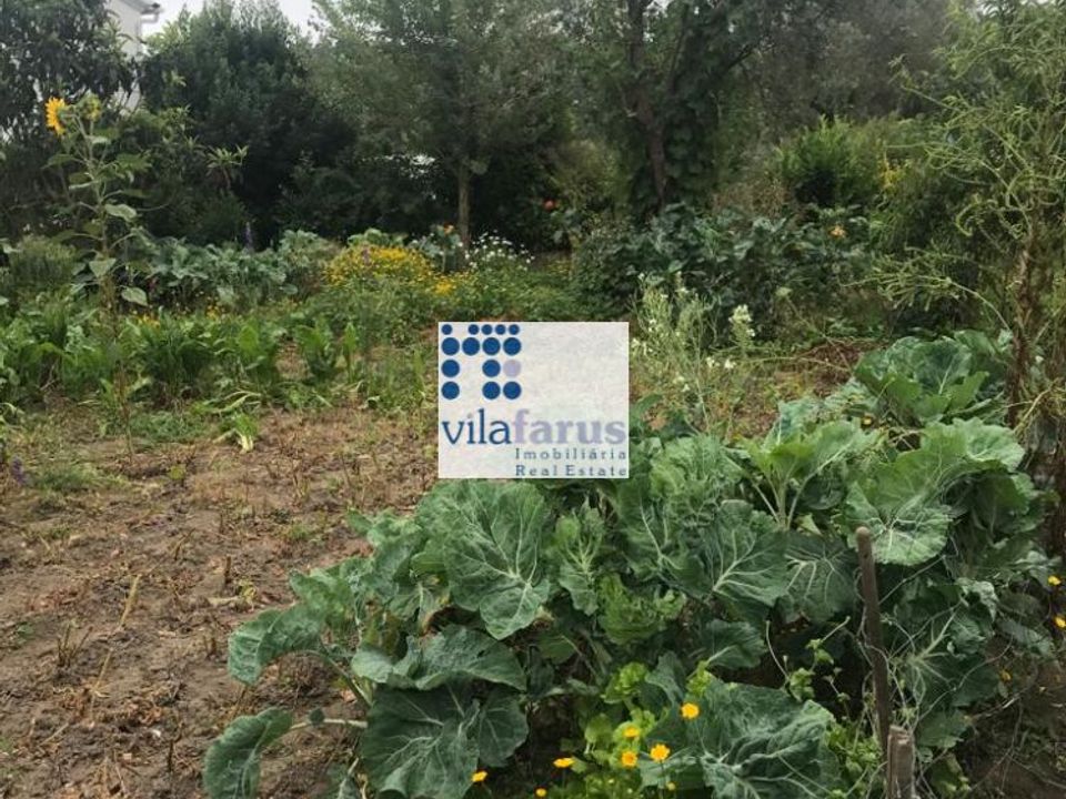 Helårsgrund i Pombal, Leiria - foto 3