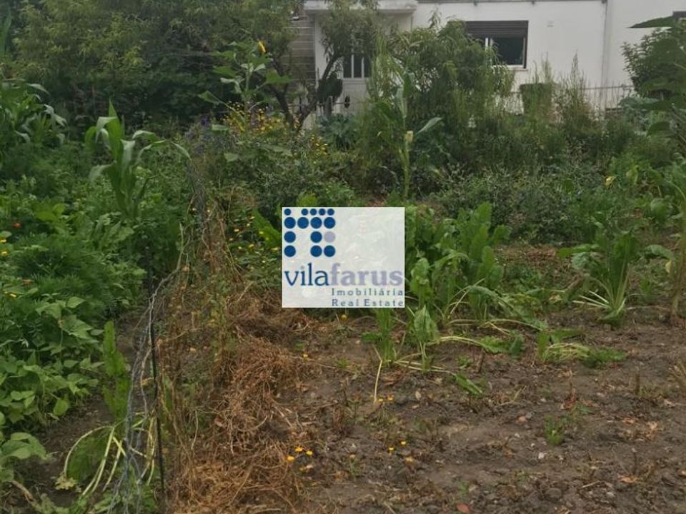 Helårsgrund i Pombal, Leiria - foto 4