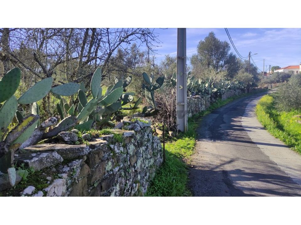 Helårsgrund i Almodovar, Beja - foto 2
