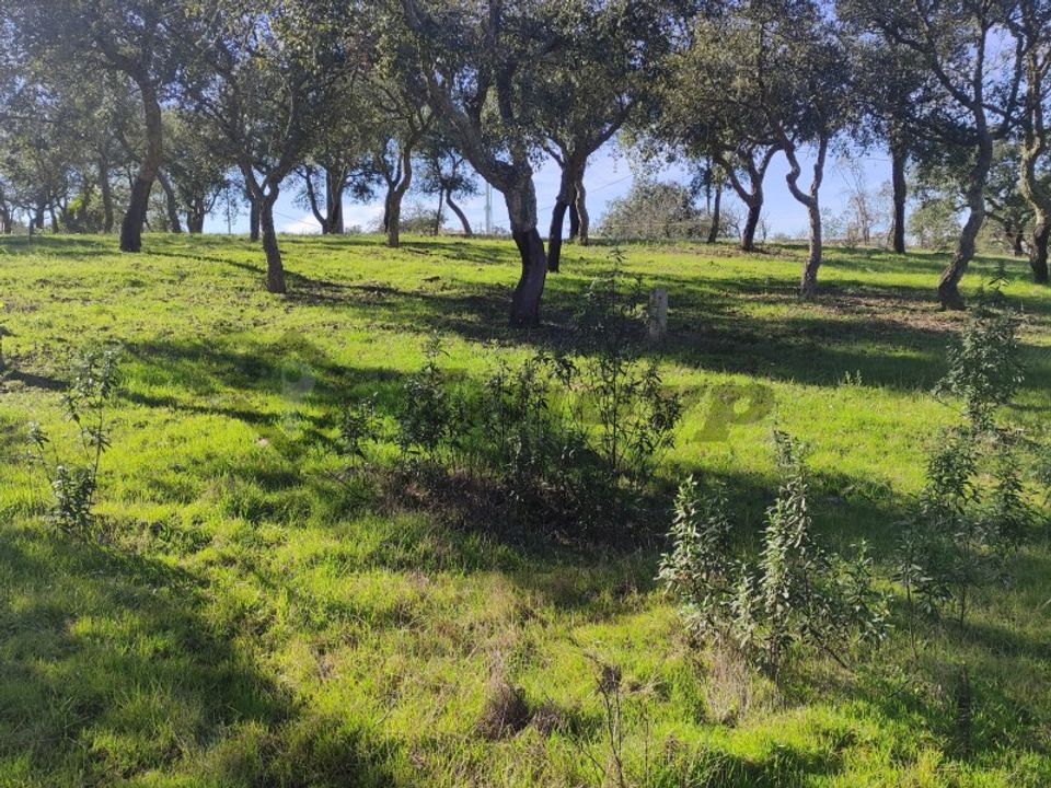 Helårsgrund i Almodovar, Beja - foto 1