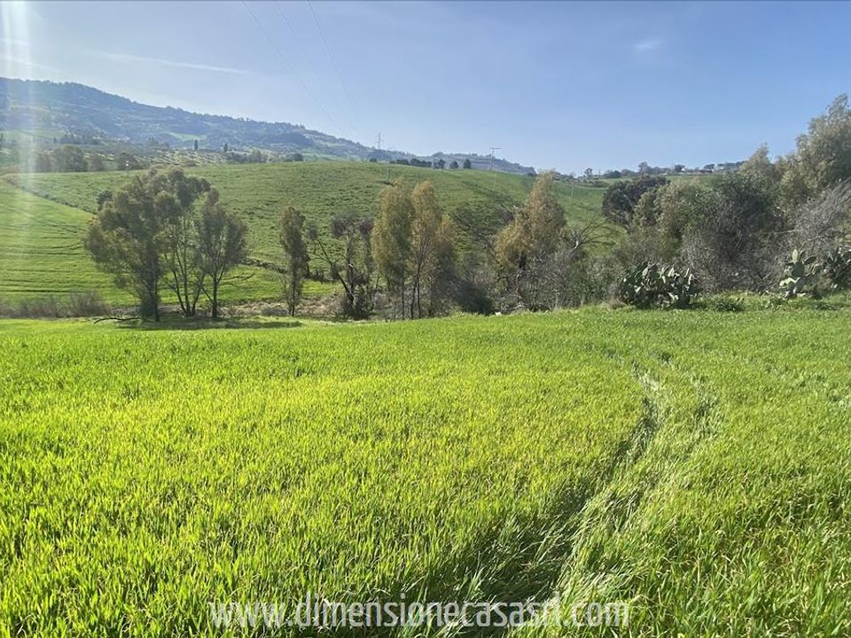 Helårsgrund i Caltanissetta, Caltanissetta - foto 3