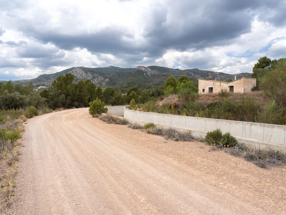 Finca i Xerta, Tarragona - foto 4
