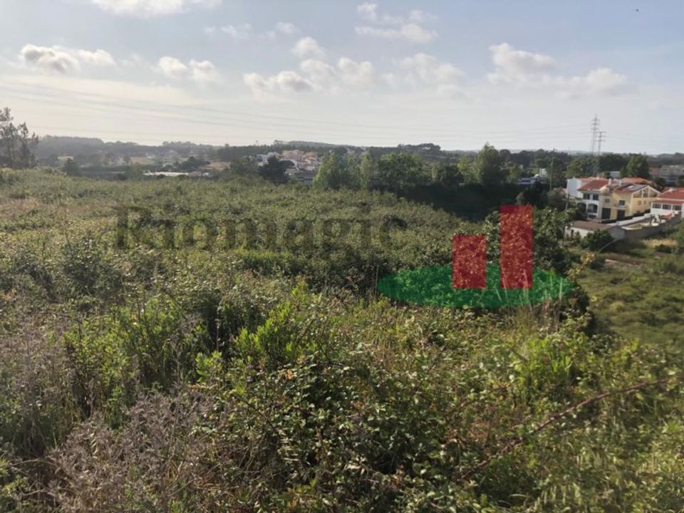 Helårsgrund i Santo Onofre e Serra do Bouro, Leiria - foto 3
