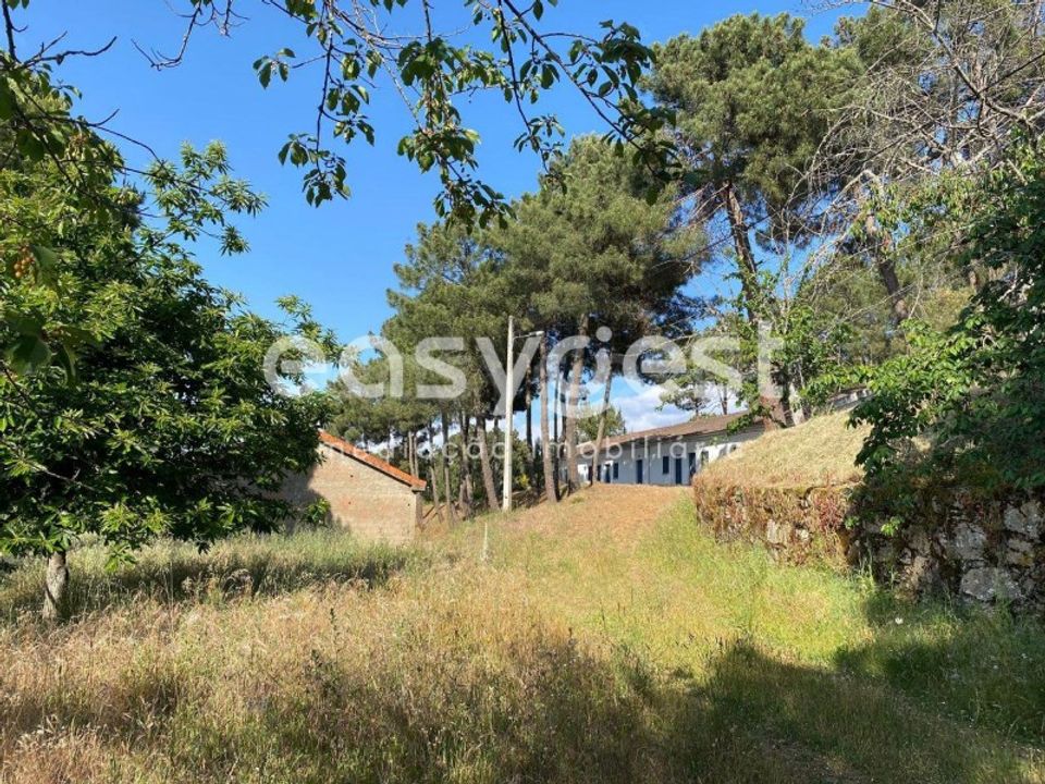 Farm i Felgar e Souto da Velha, Braganca - foto 4
