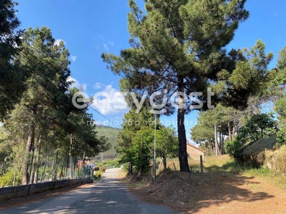 Farm i Felgar e Souto da Velha, Braganca - foto 5