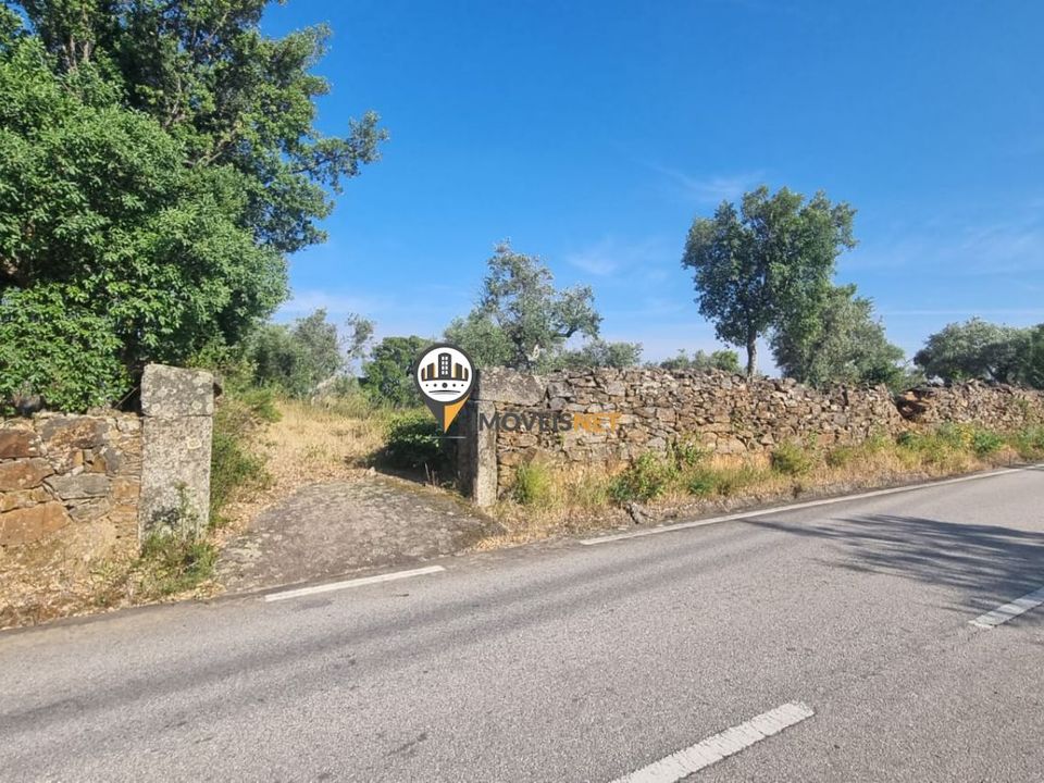 Helårsgrund i Castelo Branco, Castelo Branco - foto 1