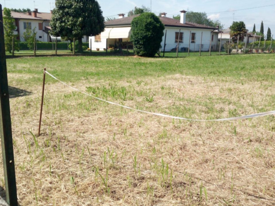 Helårsgrund i Masi, Padua - foto 2