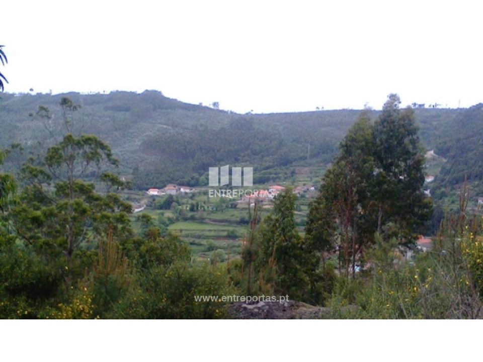 Helårsgrund i Penafiel, Porto - foto 1