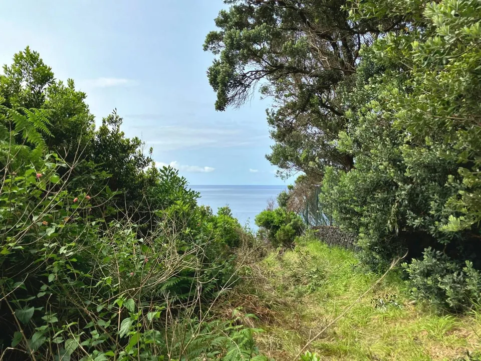 Masia a Horta, Faial - foto 5