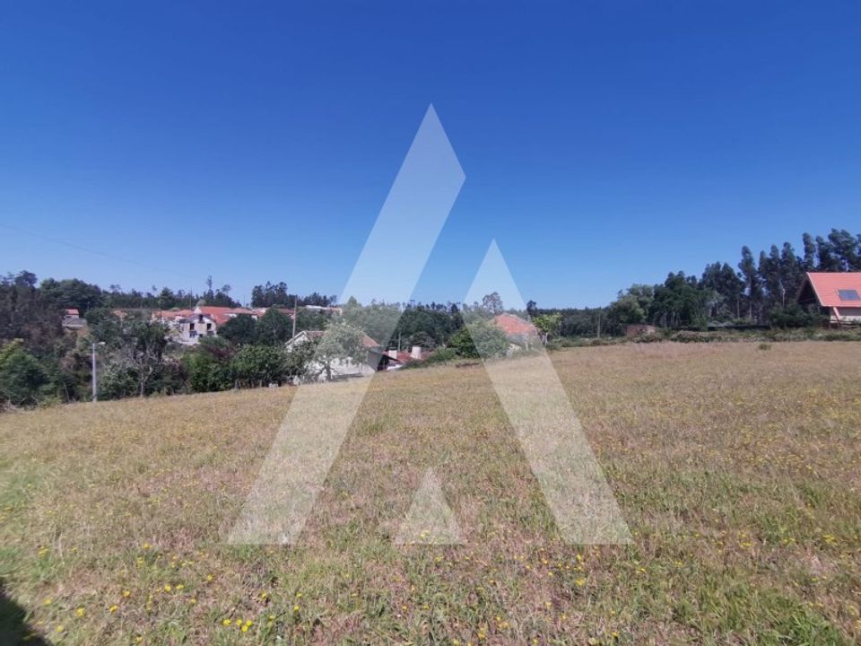 Helårsgrund i Albergaria-a-Velha, Aveiro - foto 1