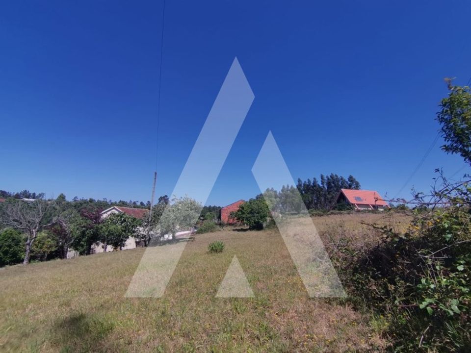 Helårsgrund i Albergaria-a-Velha, Aveiro - foto 2
