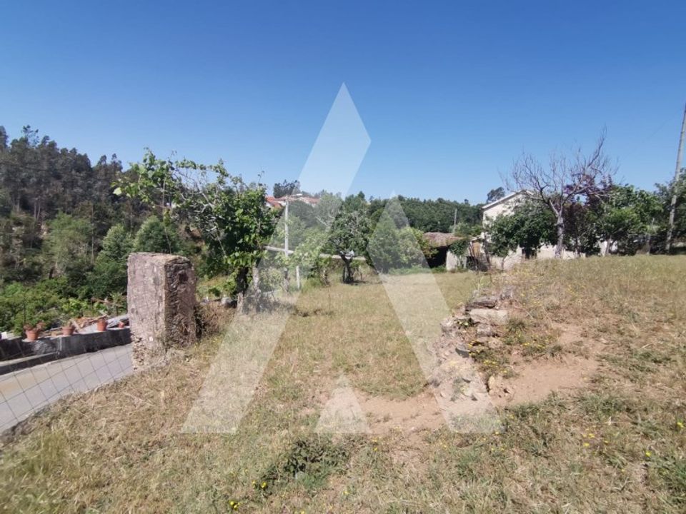 Helårsgrund i Albergaria-a-Velha, Aveiro - foto 3