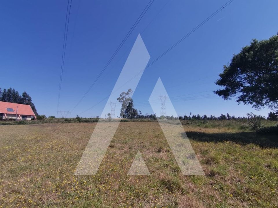 Helårsgrund i Albergaria-a-Velha, Aveiro - foto 4