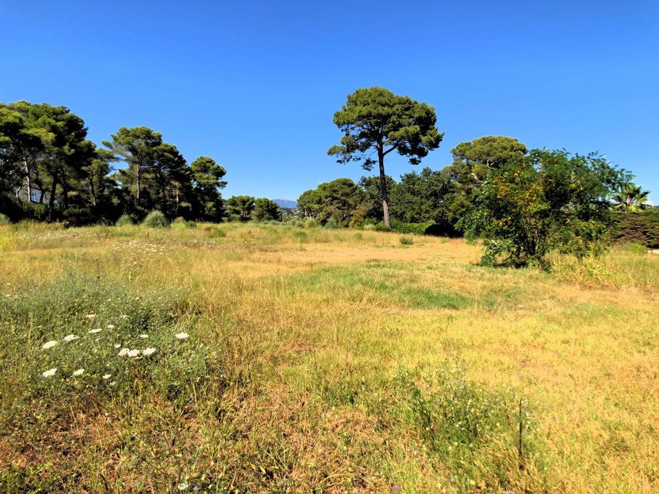 Terra a Le Cannet, Alpes-Maritimes - foto 2
