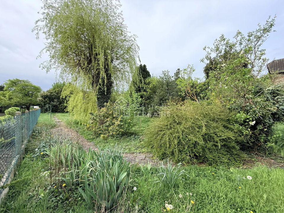 Tomt i Butry-sur-Oise, Val-d'Oise - bilde 4