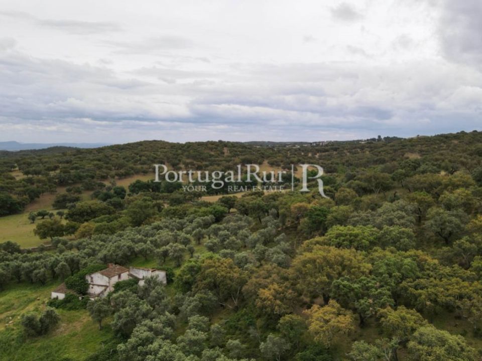 Landejendom i Borba, Evora - foto 4