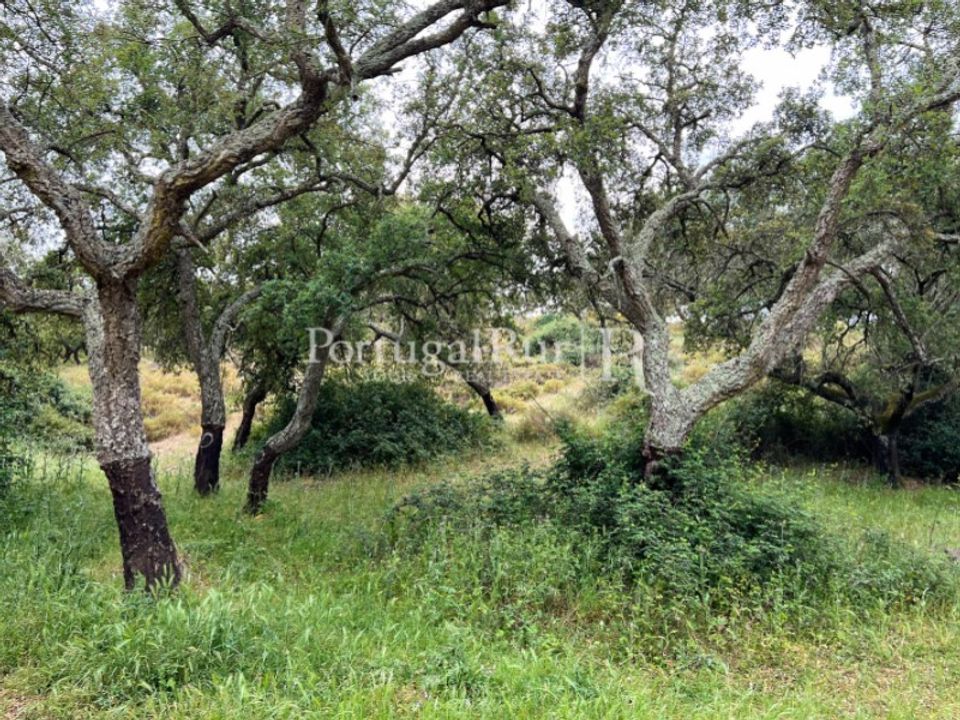 Landejendom i Borba, Evora - foto 1