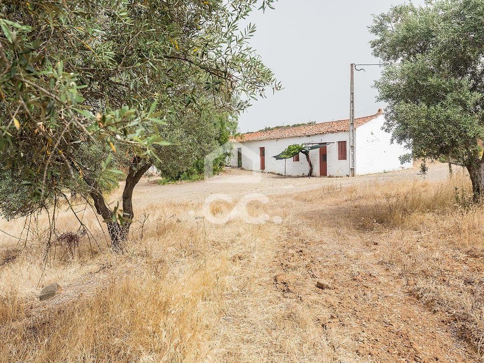 Farm i Serpa, Beja - foto 3