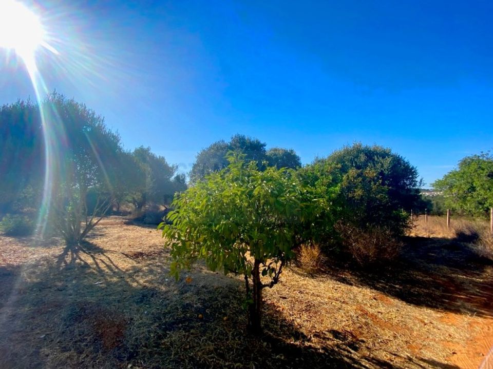Helårsgrund i Almancil, Faro - foto 1