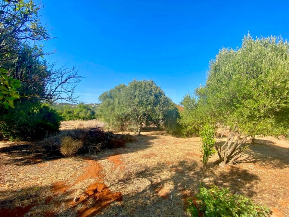 Helårsgrund i Almancil, Faro - foto 3