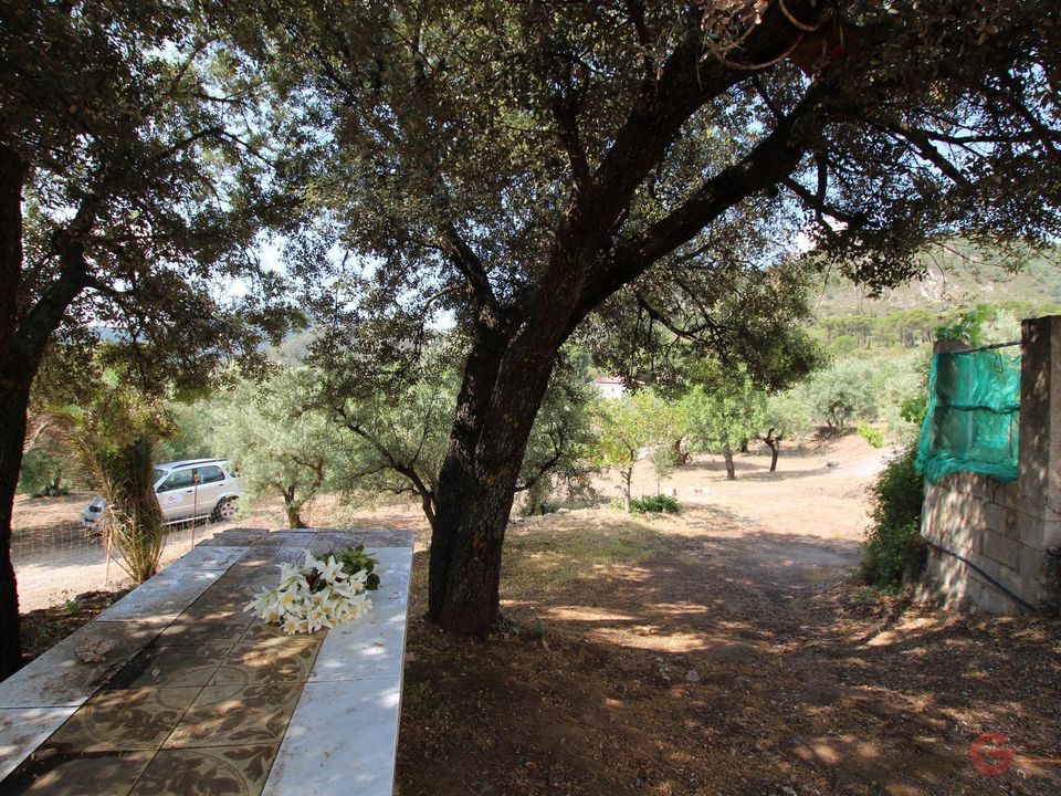 Finca i Guajar Alto, Granada - foto 1