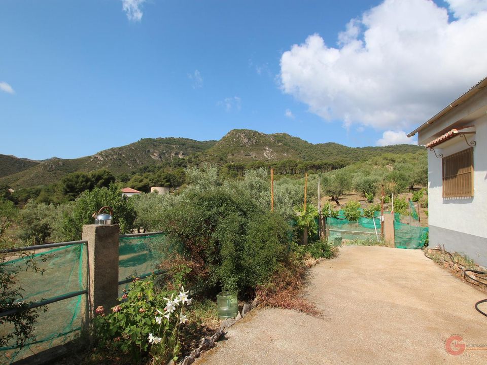Finca i Guajar Alto, Granada - foto 3