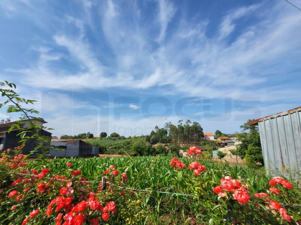 Helårsgrund i Albergaria-a-Velha, Aveiro - foto 1