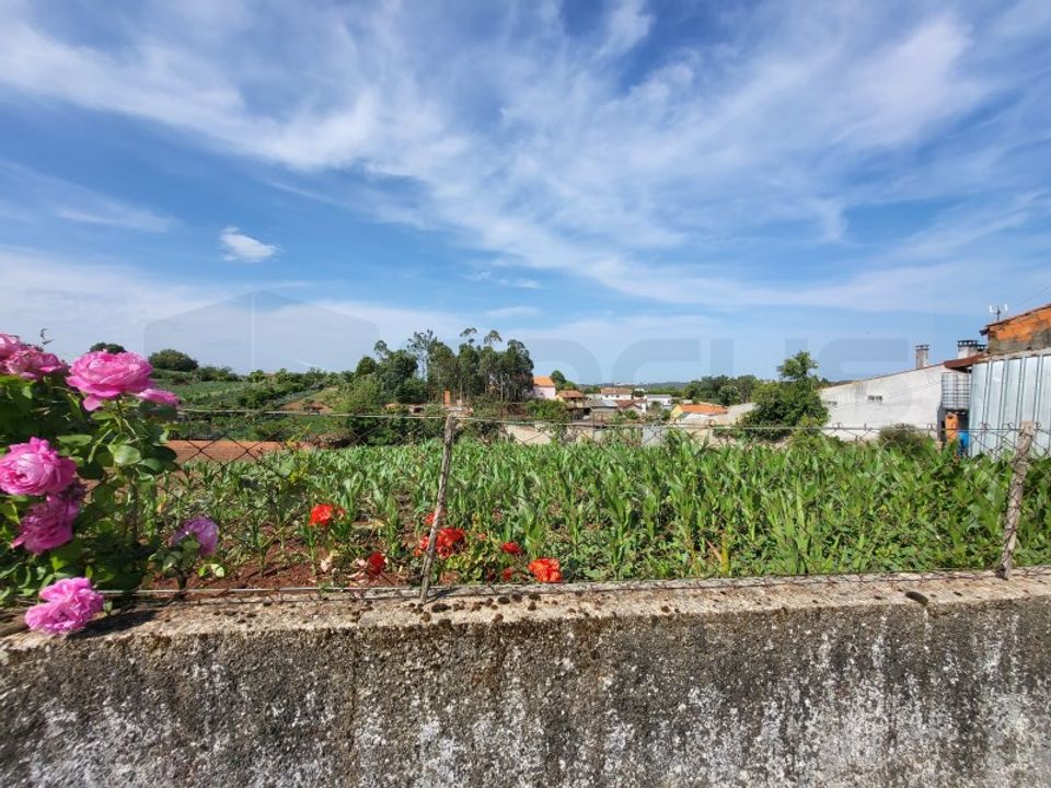 Helårsgrund i Albergaria-a-Velha, Aveiro - foto 3