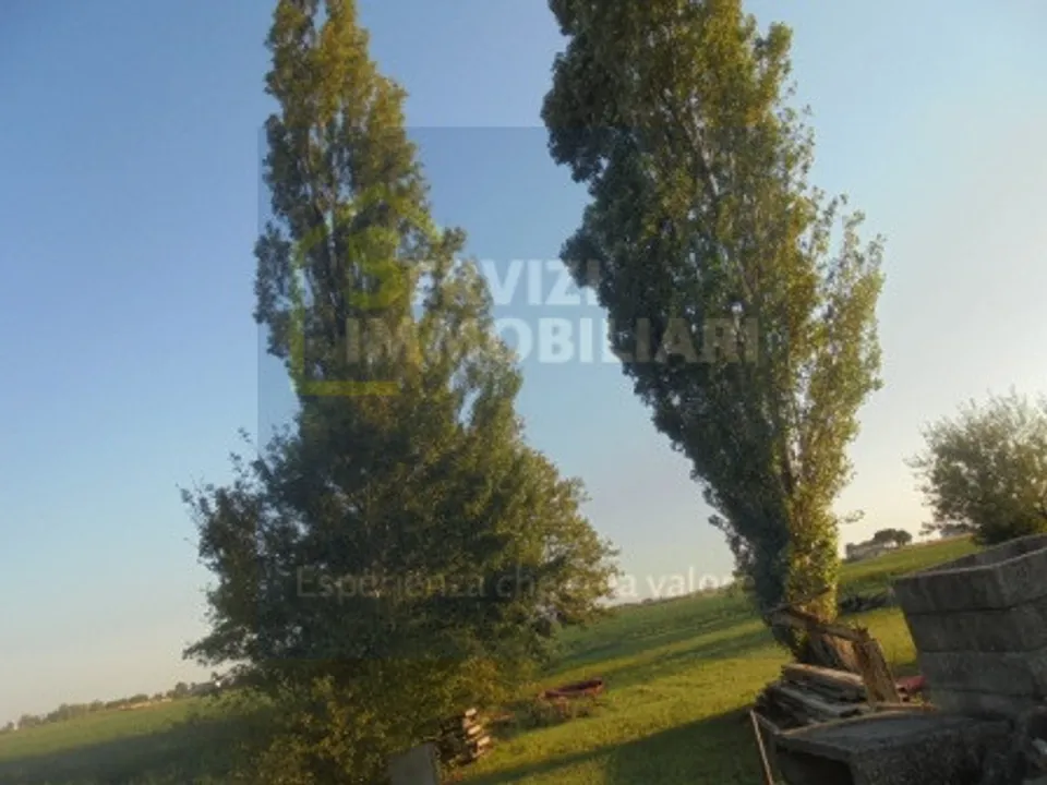 Villa i Rome, Rome - foto 4