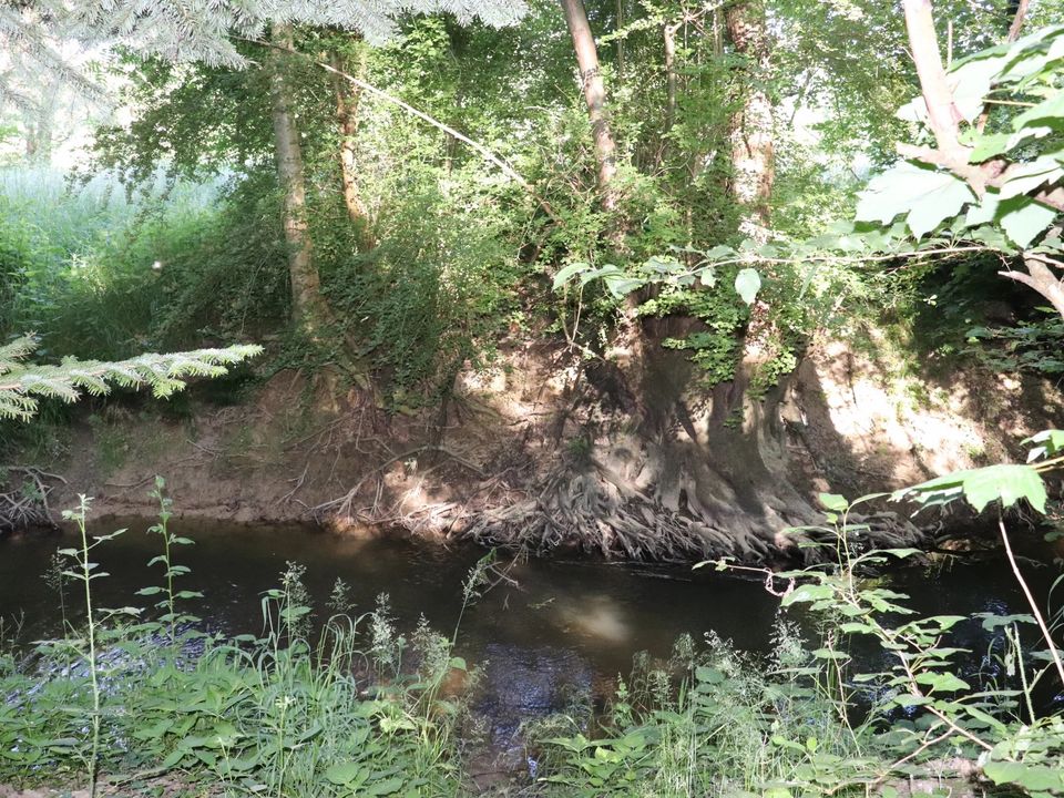 Helårsgrund i Montmirail, Marne - foto 3