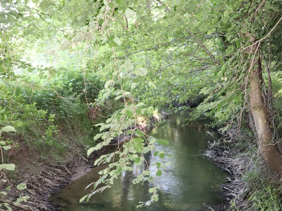 Helårsgrund i Montmirail, Marne - foto 5